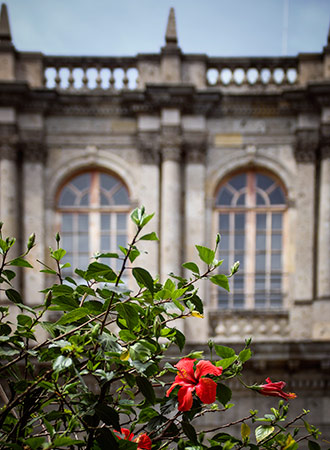 GUADALAJARA | MEXICO