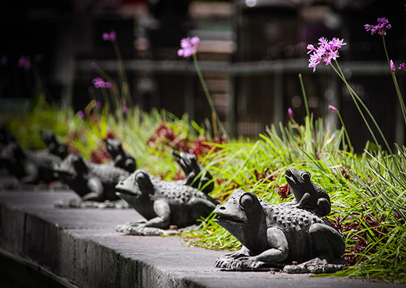 GUADALAJARA | MEXICO