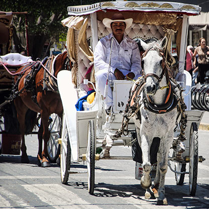 GUADALAJARA | MEXICO