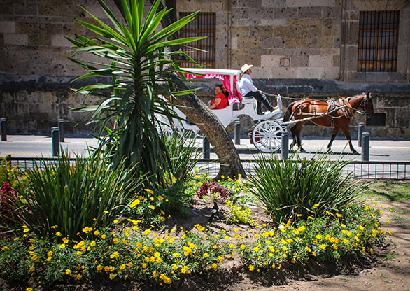 GUADALAJARA | MEXICO