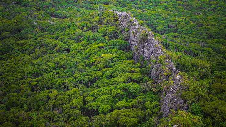 HIERVE DEL AGUA | MEXICO