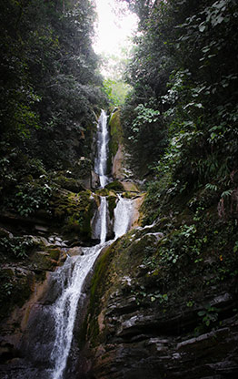 LAS POZAS | MEXICO