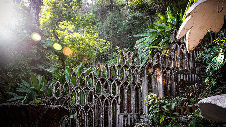 LAS POZAS | MEXICO