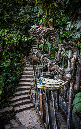 LAS POZAS | MEXICO