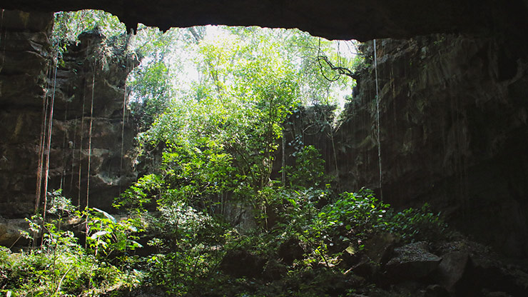 CUEVAS DE MANTETZULEL | MEXICO