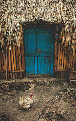 MAYAN VILLAGE | MEXICO