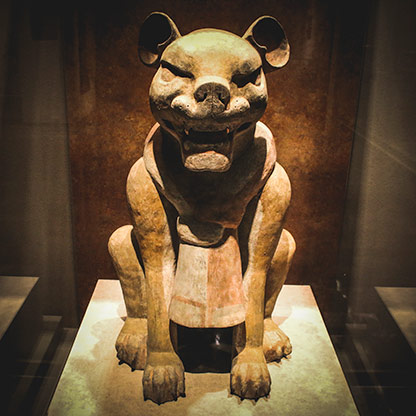 MUSEUM OF ANTHROPOLOGY | MEXICO