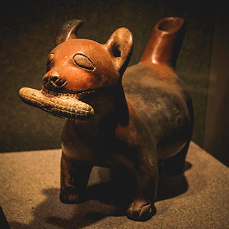 MUSEUM OF ANTHROPOLOGY | MEXICO