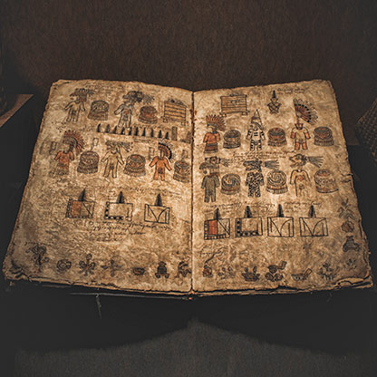 MUSEUM OF ANTHROPOLOGY | MEXICO