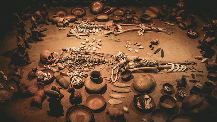 MUSEUM OF ANTHROPOLOGY | MEXICO