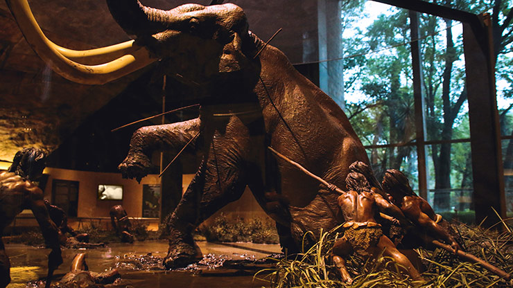 MUSEUM OF ANTHROPOLOGY | MEXICO