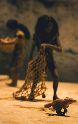 MUSEUM OF ANTHROPOLOGY | MEXICO