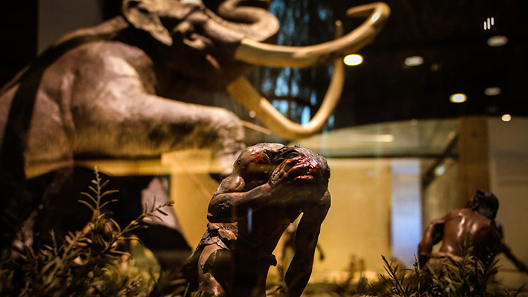 MUSEUM OF ANTHROPOLOGY | MEXICO