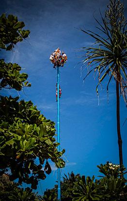 PLAYA DEL CARMEN | MEXICO