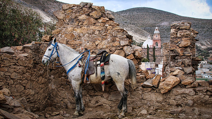 REAL DE CATORCE | MEXICO