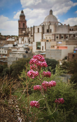 REAL DE CATORCE | MEXICO