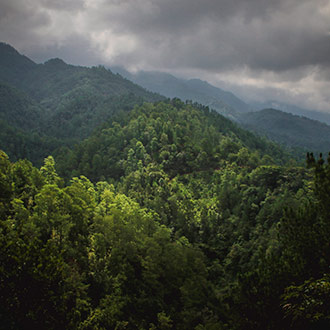 SAN JOSE DEL PACIFICO | MEXICO