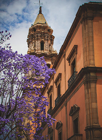 SAN LUIS POTOSI | MEXICO