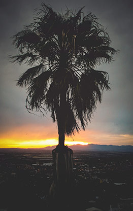 SAN MIGUEL DE ALLENDE | MEXICO