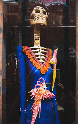 SAN MIGUEL DE ALLENDE | MEXICO