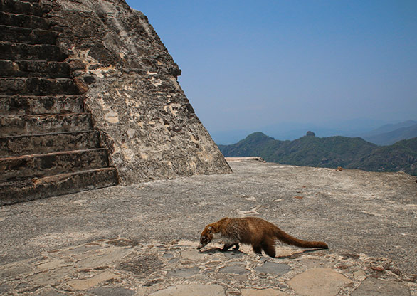 TEPOZTECO | MEXICO