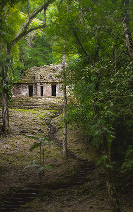 YAXCHILAN | MEXICO