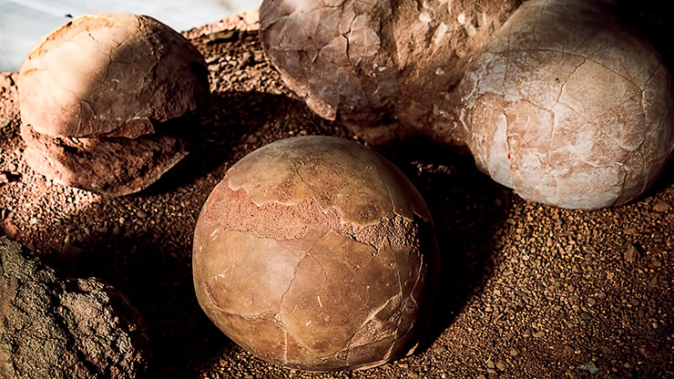 FLAMING CLIFFS | MONGOLIA