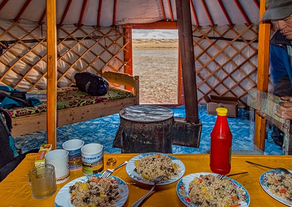 KHONGORYN ELS | MONGOLIA