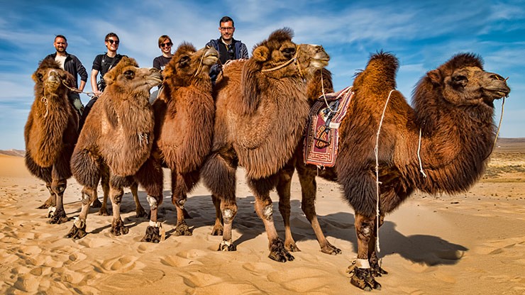 KHONGORYN ELS | MONGOLIA