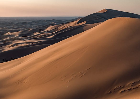 KHONGORYN ELS | MONGOLIA