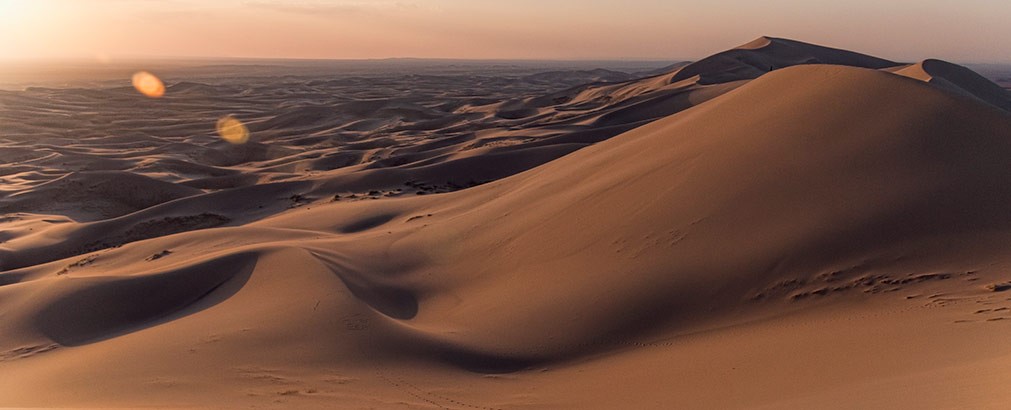 KHONGORYN ELS | MONGOLIA