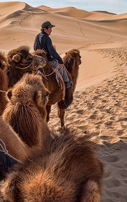 KHONGORYN ELS | MONGOLIA