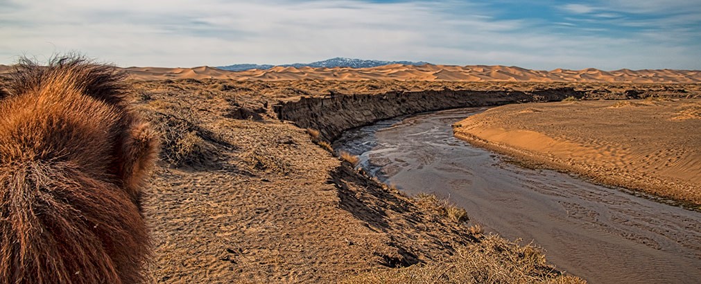 KHONGORYN ELS | MONGOLIA