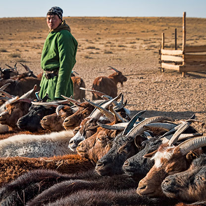 MONGOLIAN STEPPE | MONGOLIA