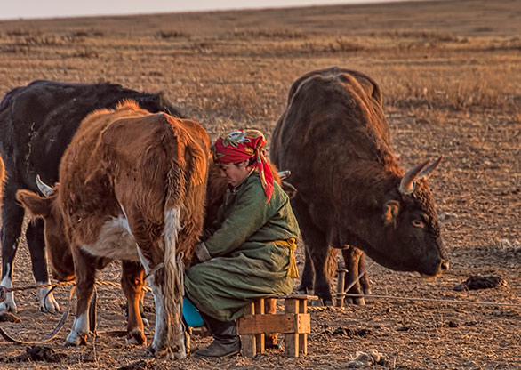 MONGOLIAN STEPPE | MONGOLIA