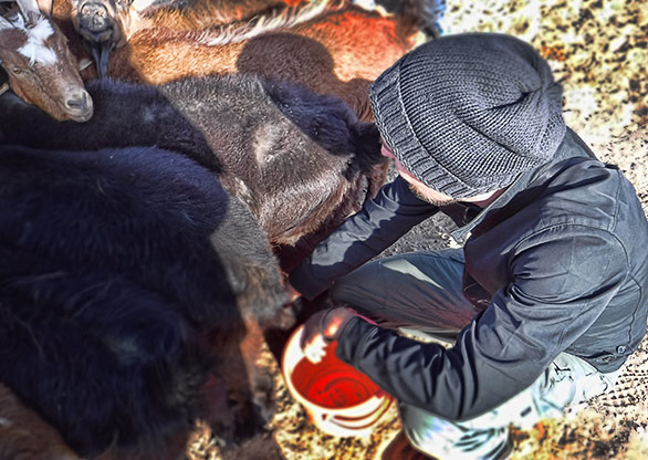 MONGOLIAN STEPPE | MONGOLIA