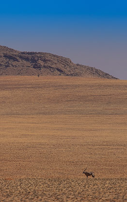 SOSSUSVLEI | NAMIBIA