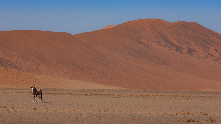 SOSSUSVLEI | NAMIBIA