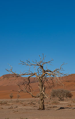 SOSSUSVLEI | NAMIBIA