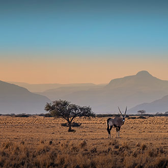 SOSSUSVLEI | NAMIBIA