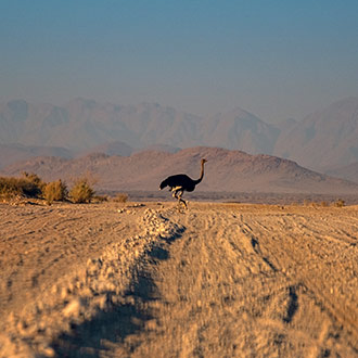 SOSSUSVLEI | NAMIBIA