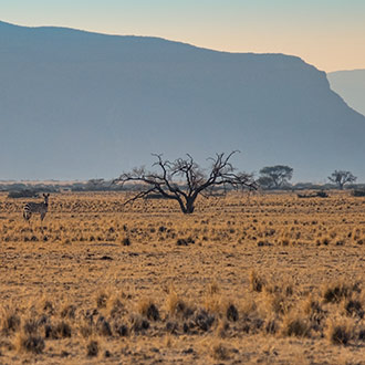 SOSSUSVLEI | NAMIBIA