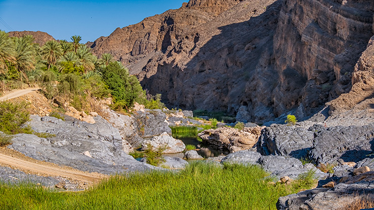 AS SUWAYH WADI | OMAN
