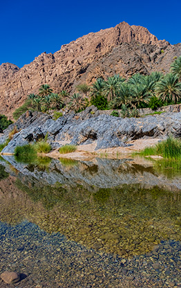 AS SUWAYH WADI | OMAN