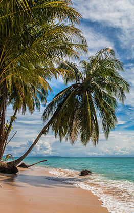 BOCA DEL TORO | PANAMA
