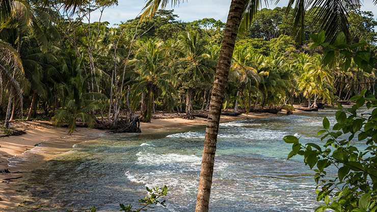 BOCA DEL TORO | PANAMA