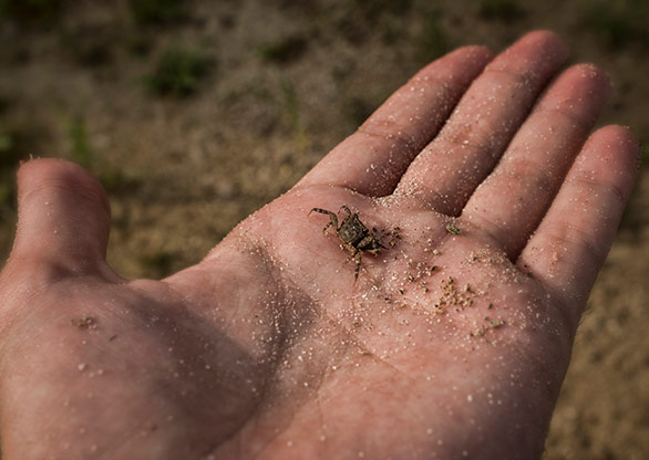 BOCA DEL TORO | PANAMA