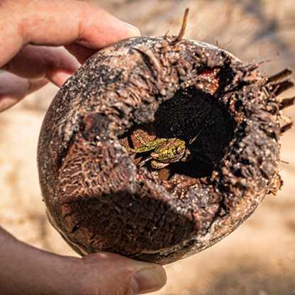 BOCA DEL TORO | PANAMA