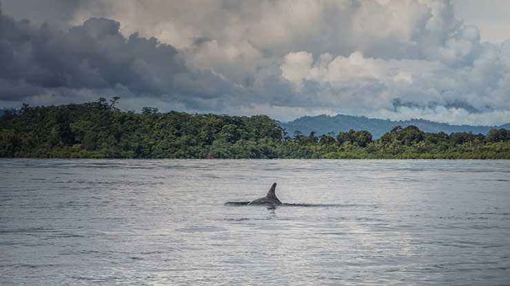 BOCA DEL TORO | PANAMA
