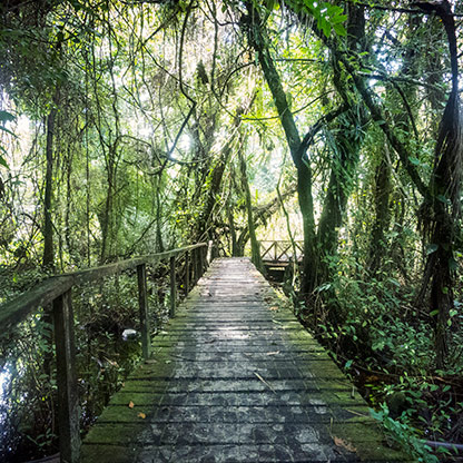 BOCA DEL TORO | PANAMA